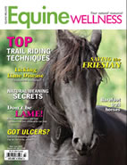 Equine Wellness